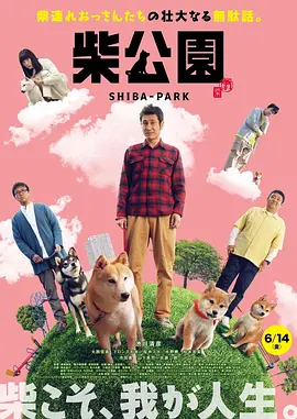 2021韩国理伦片在线观看