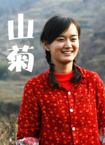 第一区视频在线观看