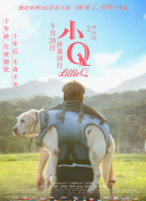 青草视频在线免费观看