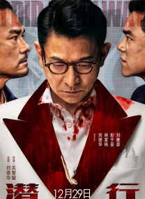 姐姐的事情